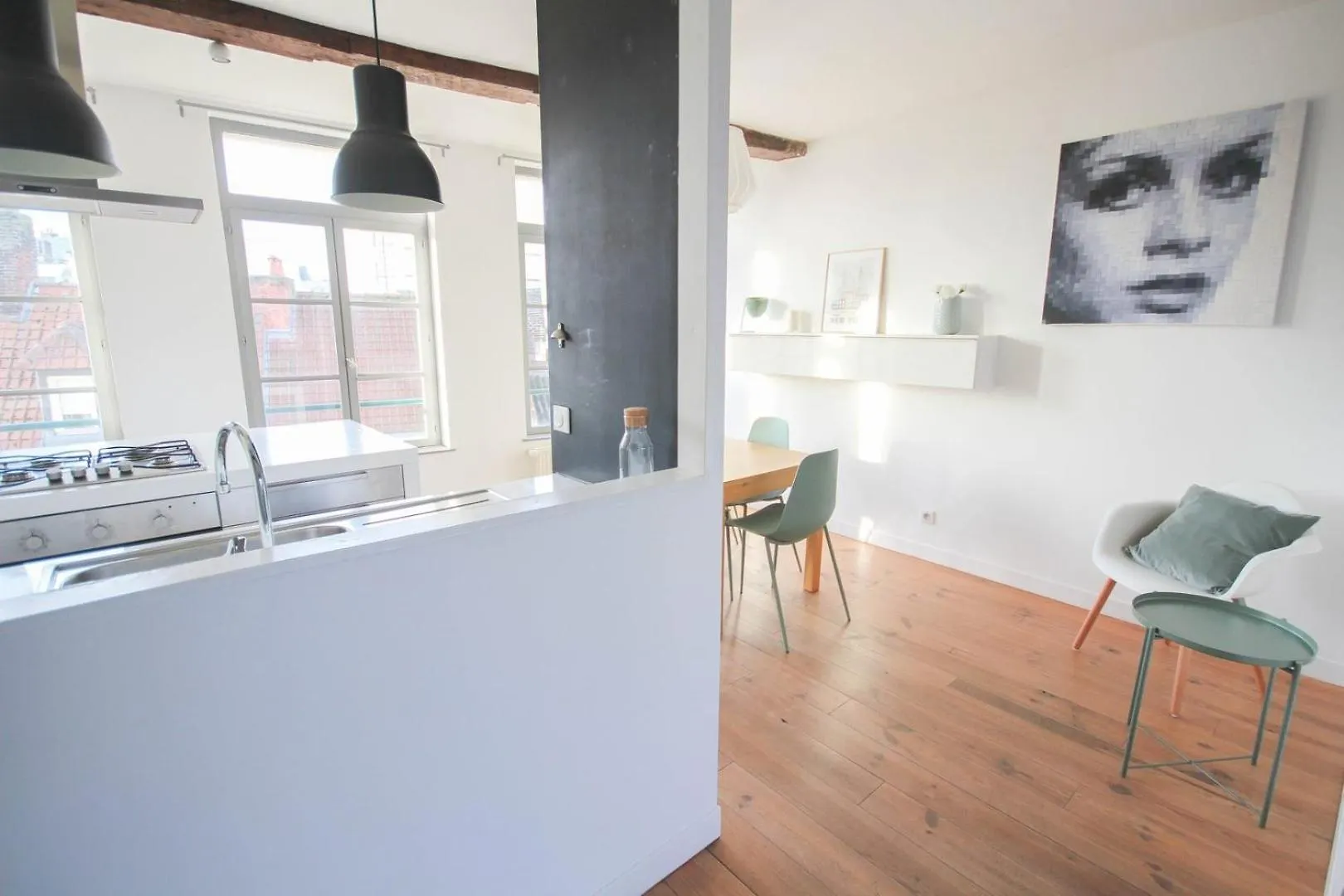 Charming 60M2 Apartment Lille 0*,